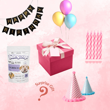 Dog Birthday Celebration Kit