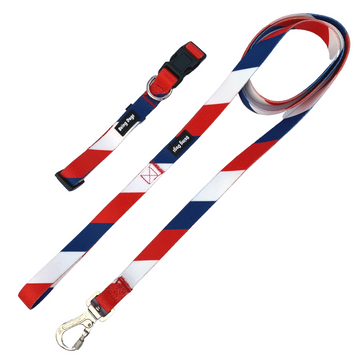 Colour Block Dog Leash With Metal Hook & Collar Combo