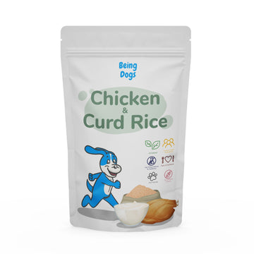 Chicken & Curd Rice Meal